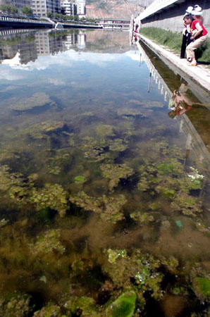 黄河污染见闻：一本触目惊心的“污染帐”(图)