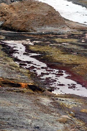 黄河污染见闻：一本触目惊心的“污染帐”(图)