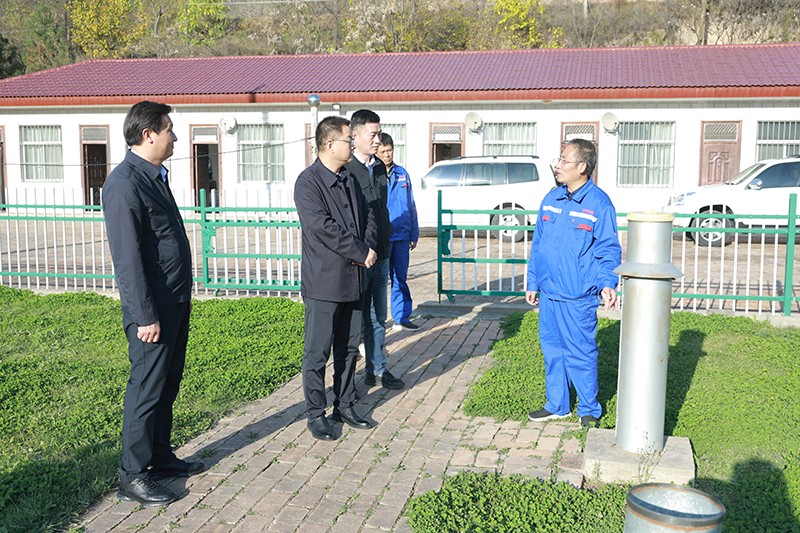 1731552249638042733.jpg 1.jpg