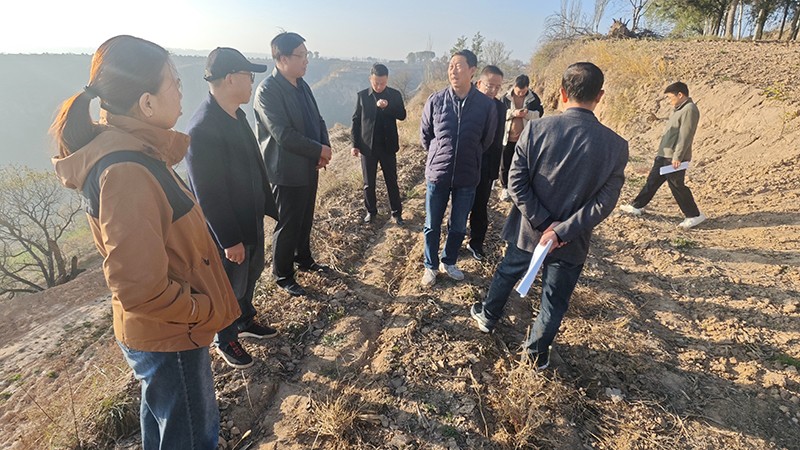 1731553727715000291.jpg 2.jpg