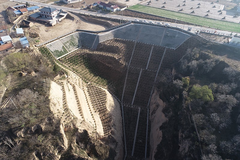 1731553777012022168.jpg 1.jpg